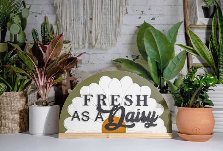 Fresh as a Daisy Arch Wood Sign