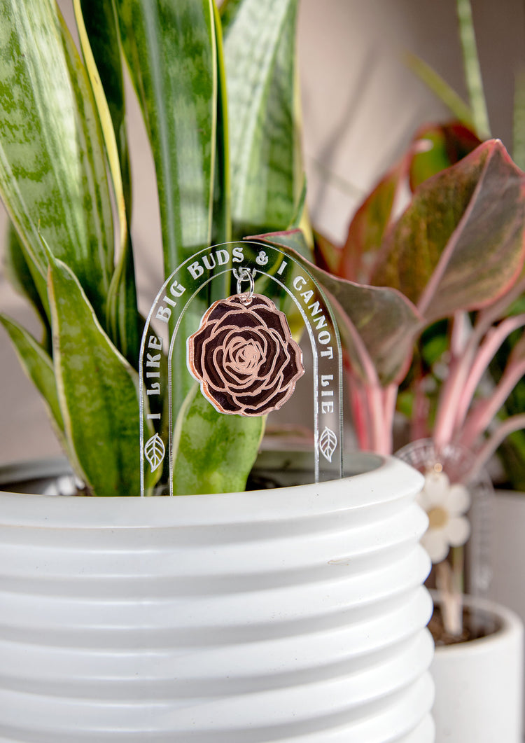 I Like Big Buds Acrylic Plant Stake