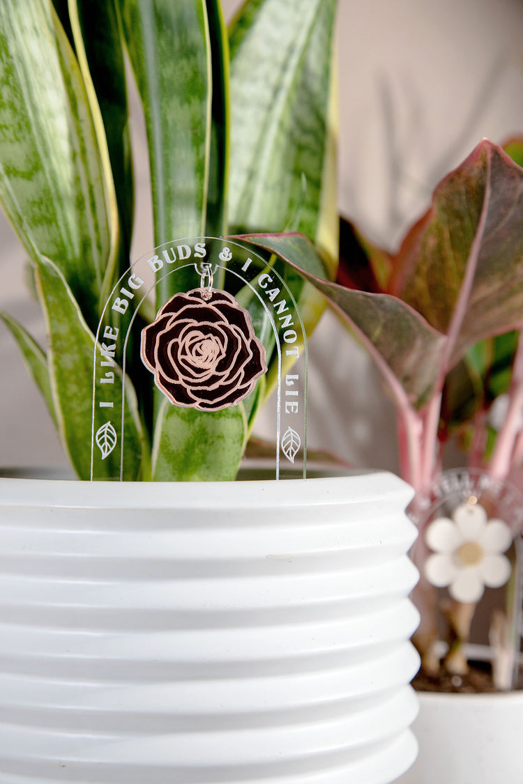 I Like Big Buds Acrylic Plant Stake