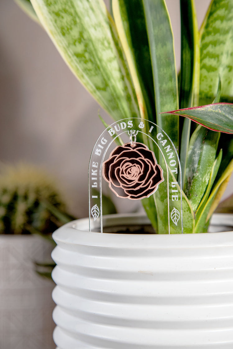 I Like Big Buds Acrylic Plant Stake
