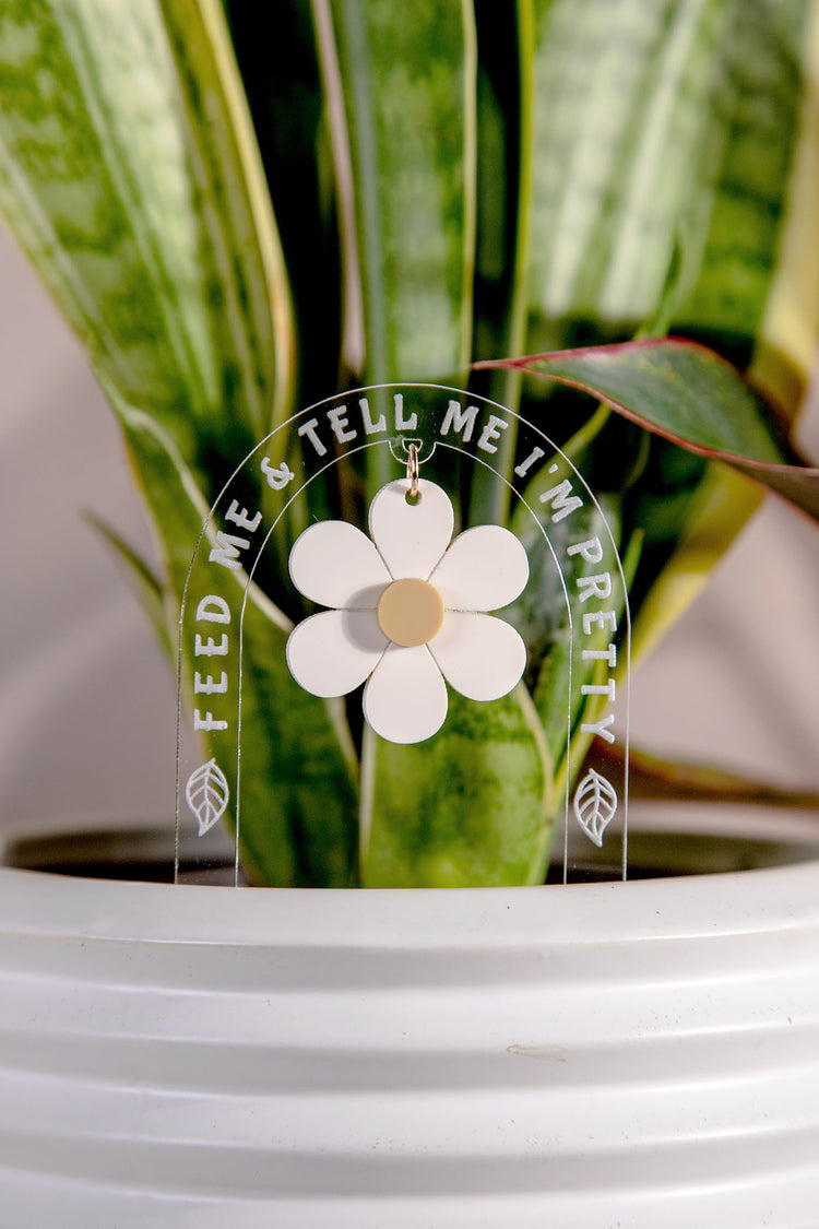 Feed Me & Tell Me I'm Pretty Daisy Acrylic Plant Stake