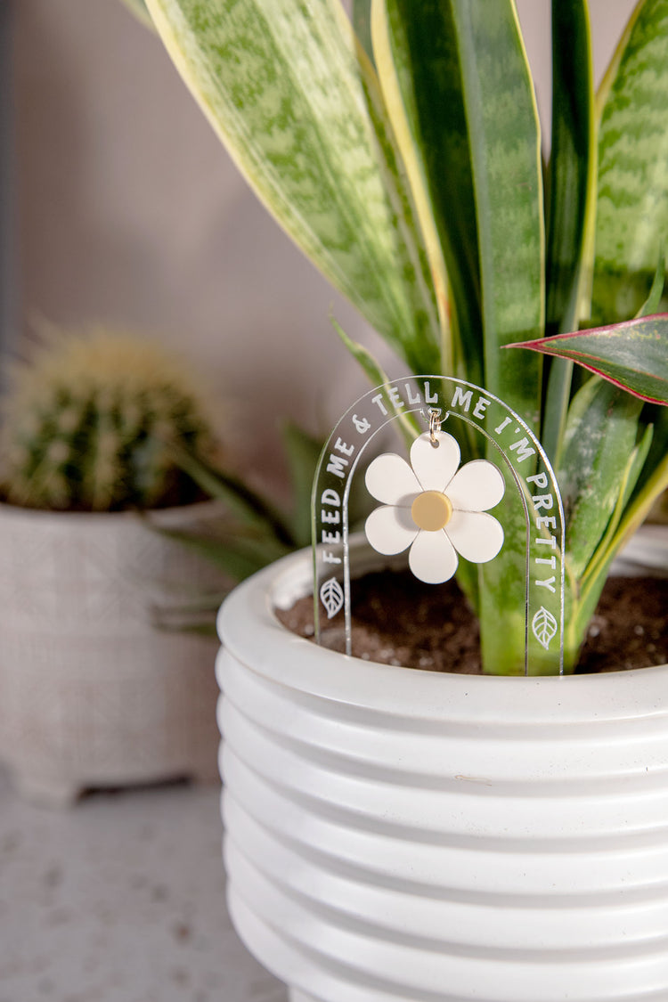 Feed Me & Tell Me I'm Pretty Daisy Acrylic Plant Stake