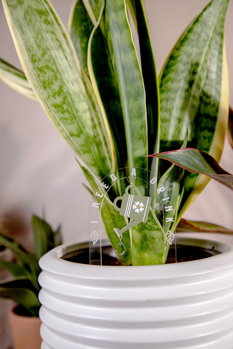 I Need A Drink Watering Can Acrylic Plant Stake
