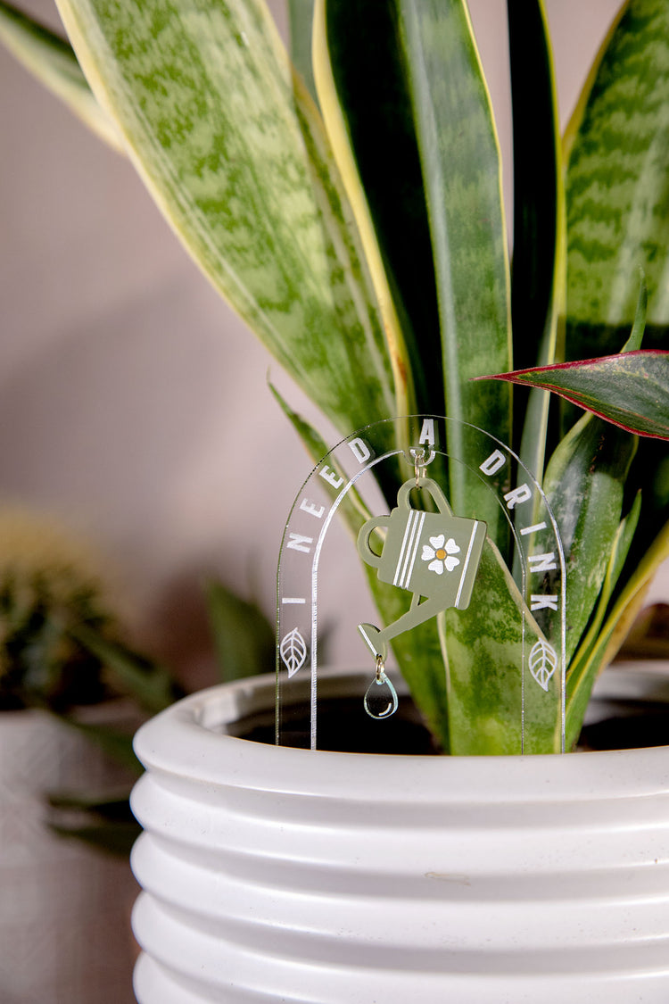 I Need A Drink Watering Can Acrylic Plant Stake
