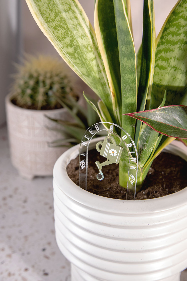 I Need A Drink Watering Can Acrylic Plant Stake