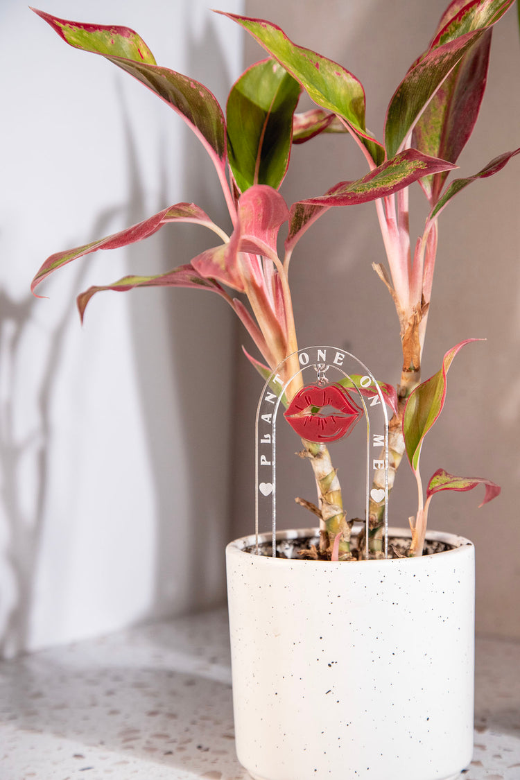 Plant One On Me Kiss Plant Stake