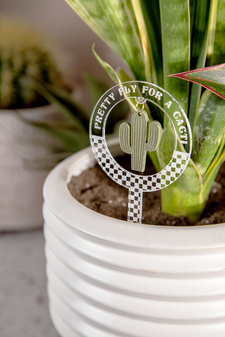 Pretty Fly Cacti Checkered Acrylic Plant Stake