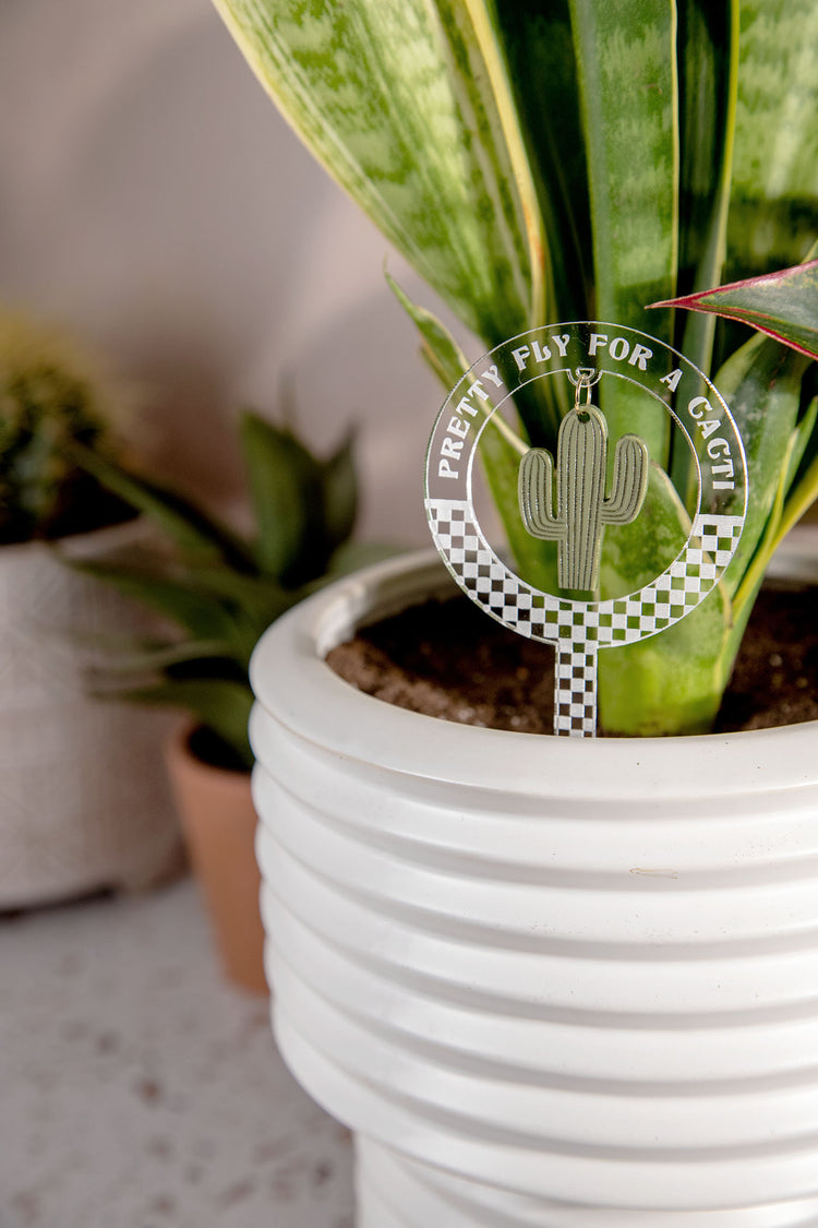 Pretty Fly Cacti Checkered Acrylic Plant Stake