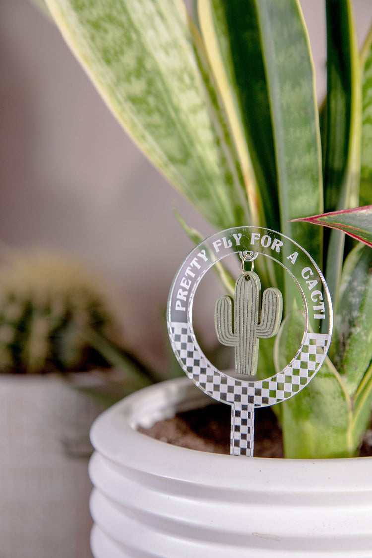 Pretty Fly Cacti Checkered Acrylic Plant Stake