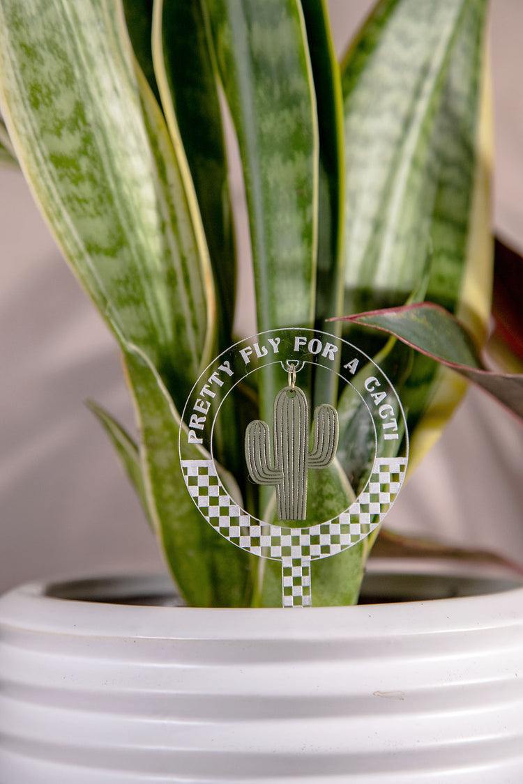Pretty Fly Cacti Checkered Acrylic Plant Stake