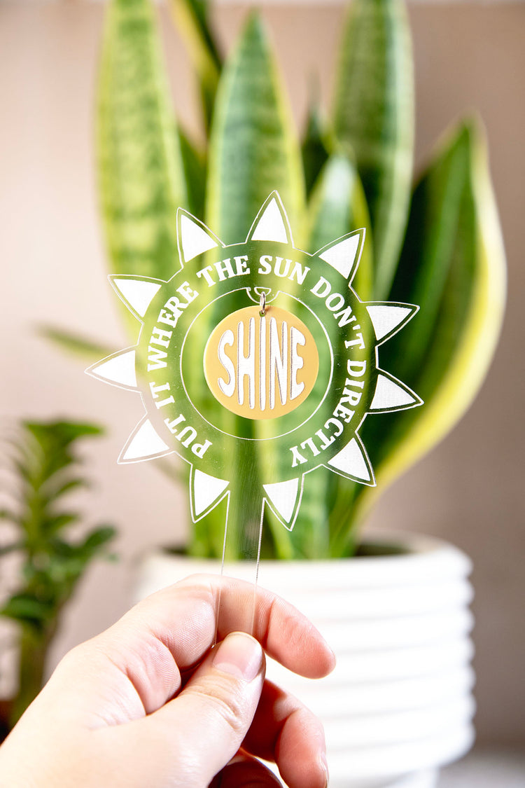 Put It Where The Sun Dont Shine Plant Stake
