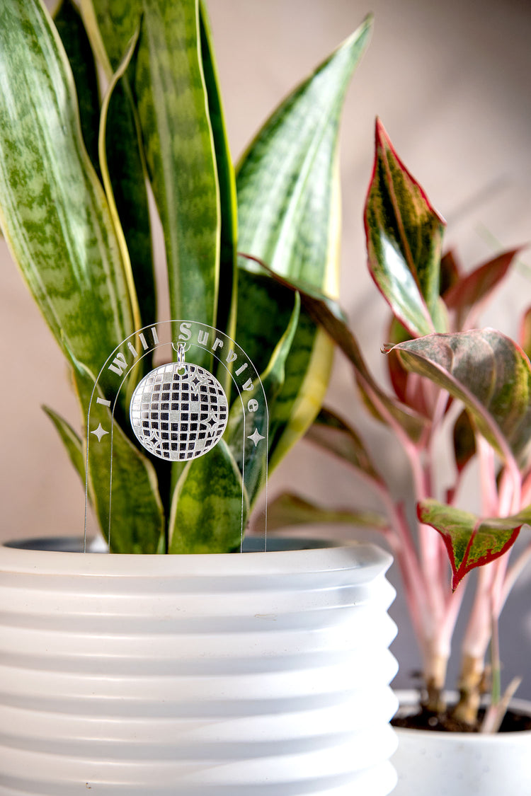 I Will Survive Acrylic Disco Plant Stake
