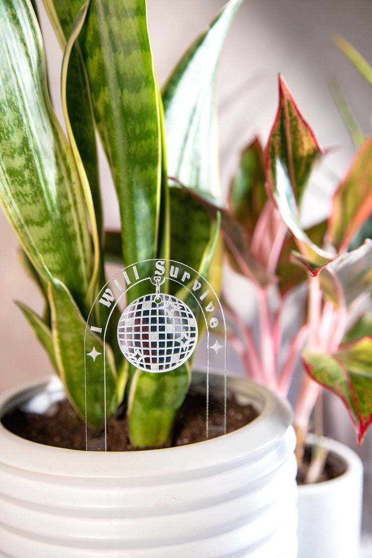 I Will Survive Acrylic Disco Plant Stake