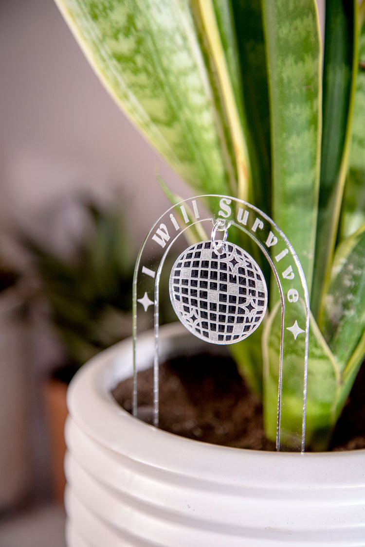 I Will Survive Acrylic Disco Plant Stake