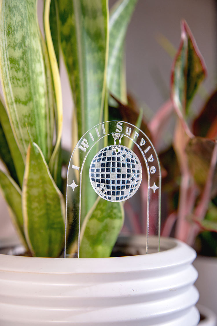 I Will Survive Acrylic Disco Plant Stake