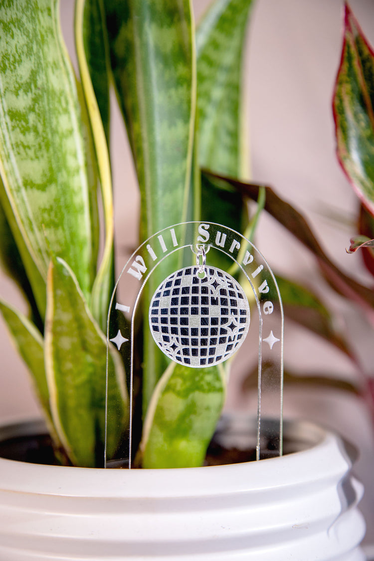 I Will Survive Acrylic Disco Plant Stake