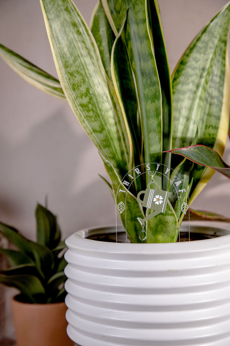 Thirsty AF Watering Can Acrylic Plant Stake