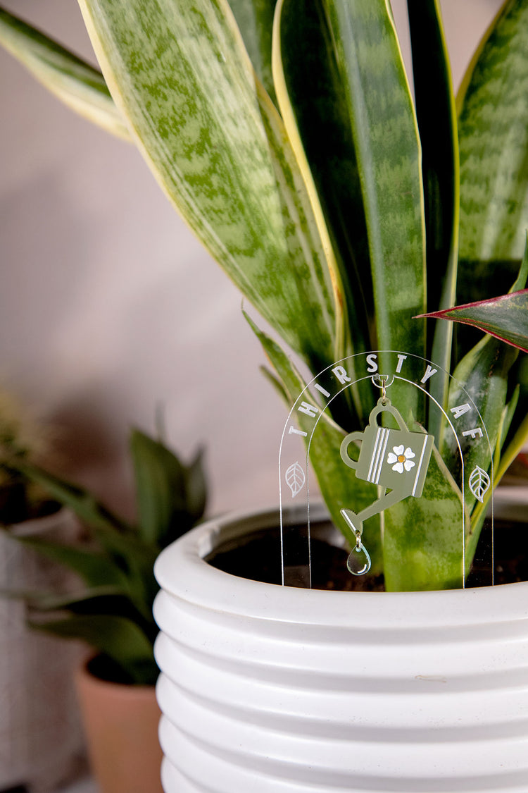 Thirsty AF Watering Can Acrylic Plant Stake