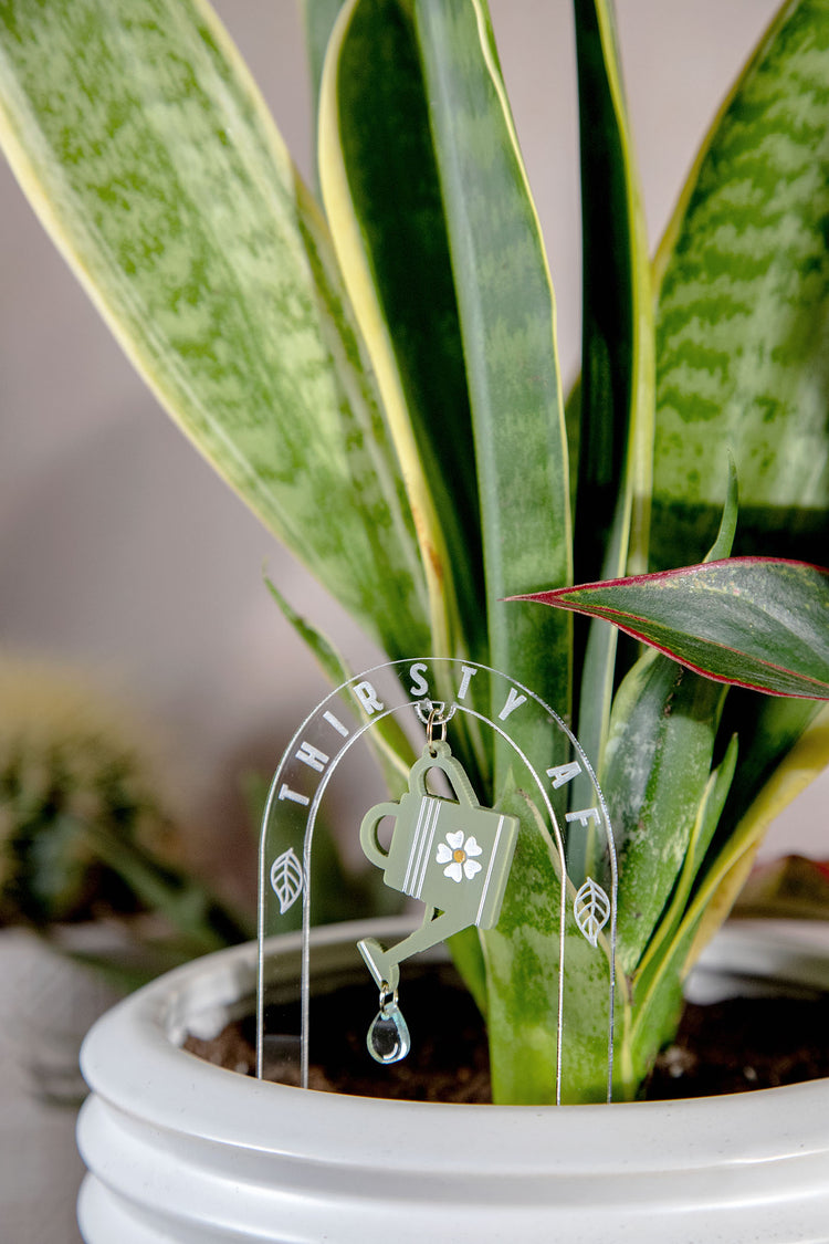 Thirsty AF Watering Can Acrylic Plant Stake