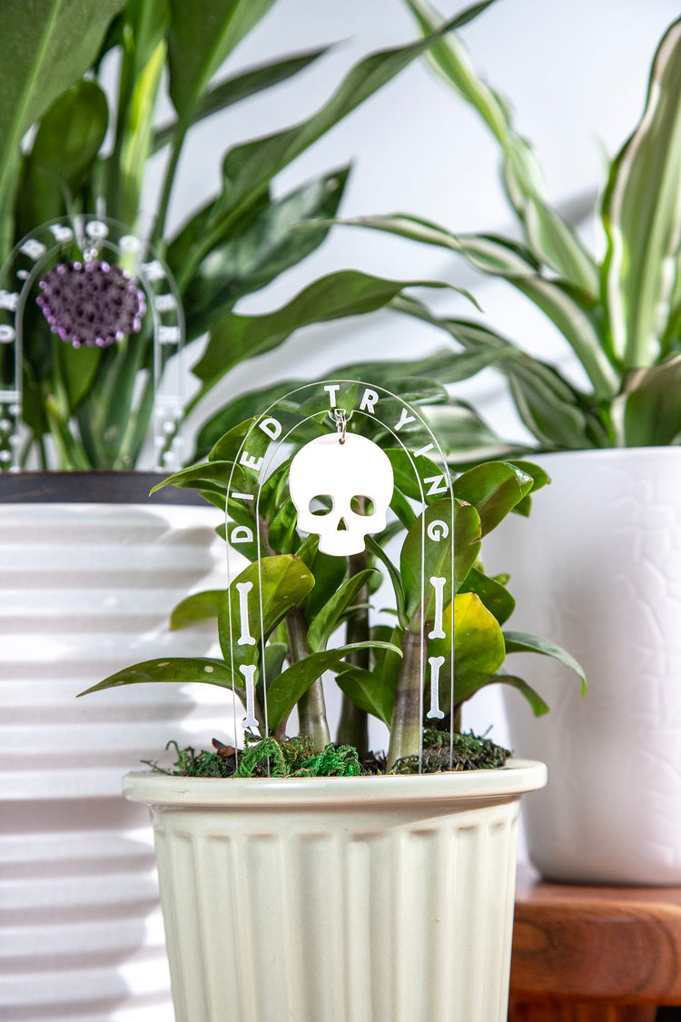 Died Trying Acrylic Plant Stake