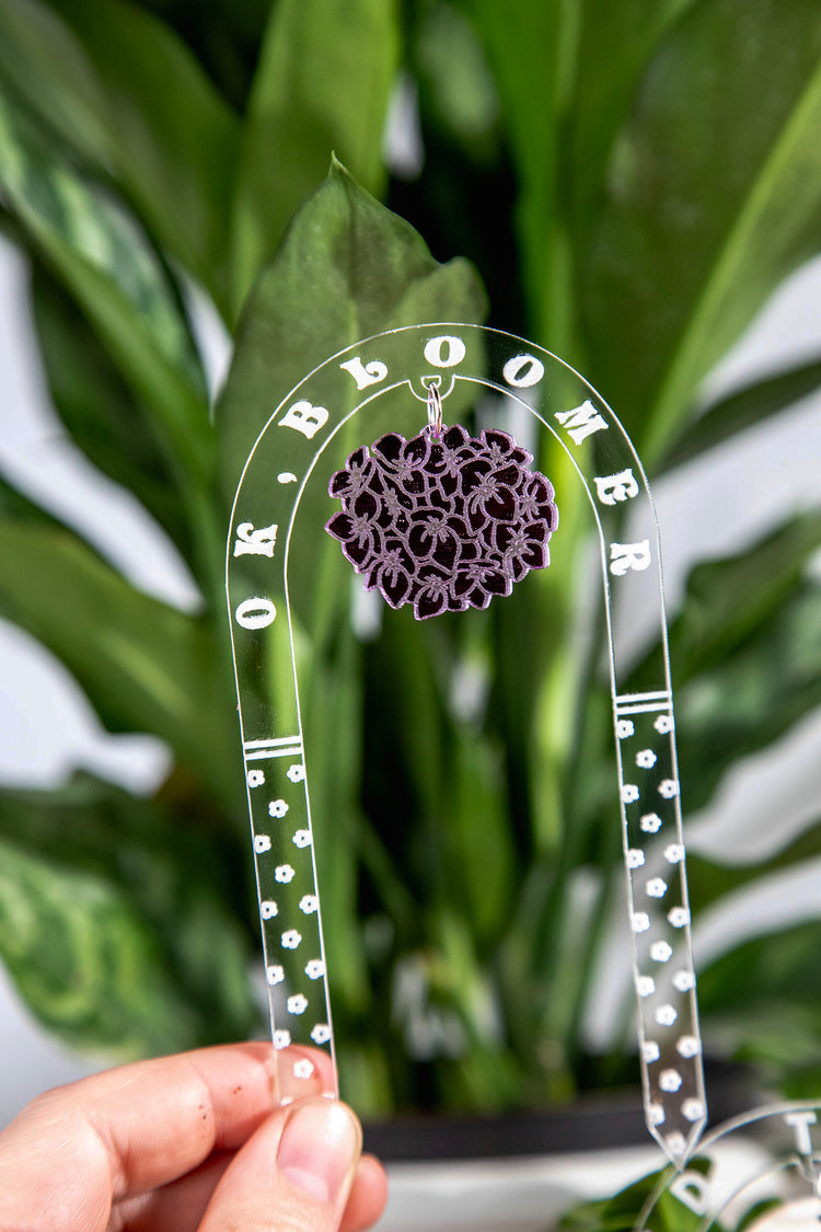 Ok, Bloomer Plant Charm Stake