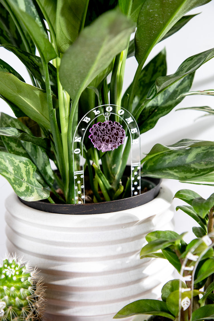 Ok, Bloomer Plant Charm Stake