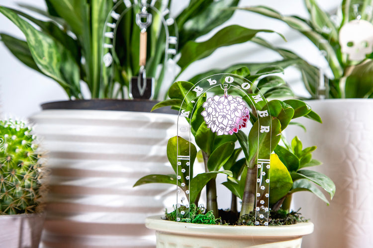 Ok, Bloomer Plant Charm Stake