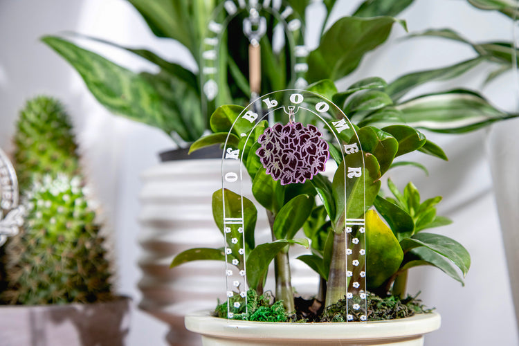 Ok, Bloomer Plant Charm Stake